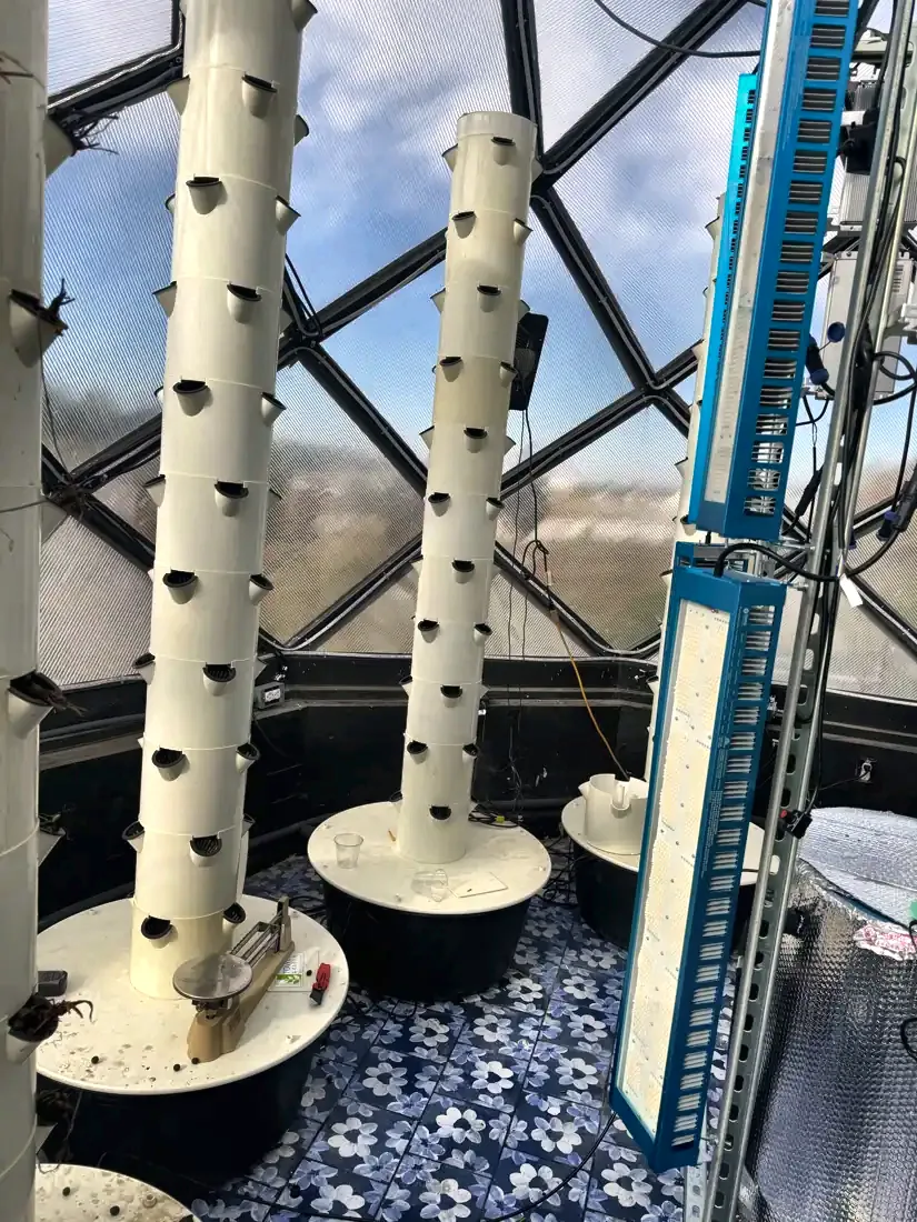 Three white vertical aeroponic towers standing on round reservoirs inside the zome.